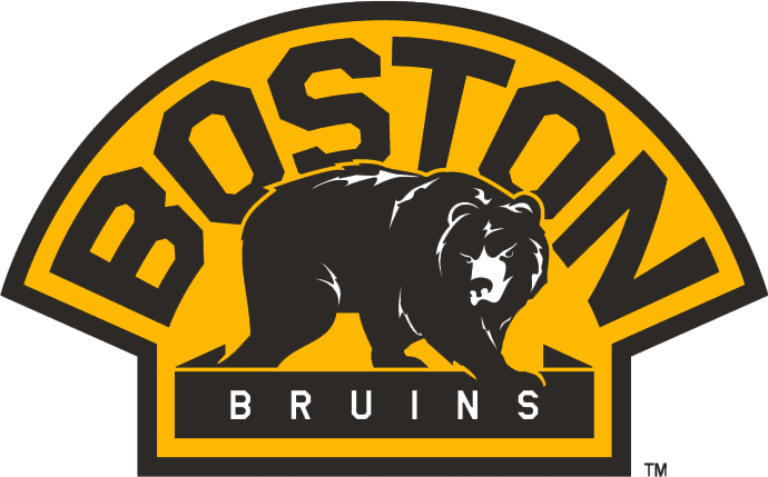 Boston Bruins 2007-Pres Alternate Logo DIY iron on transfer (heat transfer)